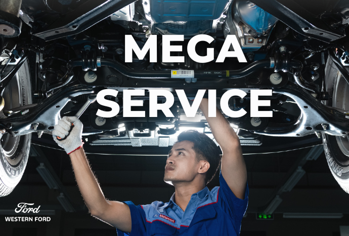 MEGA SERVICE 2026