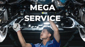 MEGA SERVICE 2026